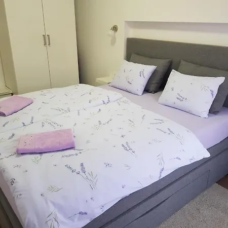 Apartman Luka Novigrad Istria Esterno foto