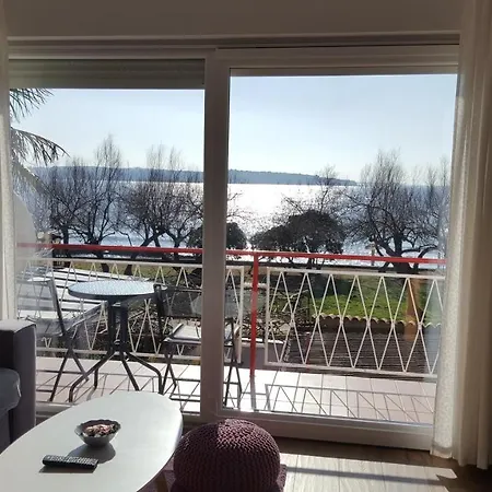 Apartman Luka Novigrad Istria Esterno foto