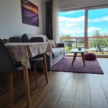 Apartman Luka Novigrad Istria Esterno foto