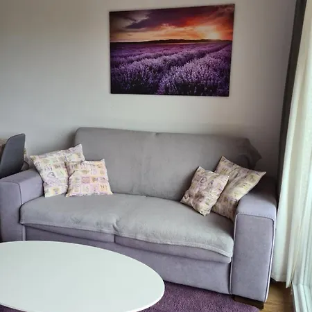 Apartman Luka Novigrad Istria Esterno foto