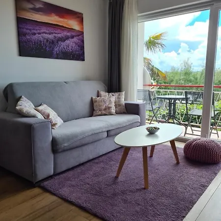 Apartman Luka Novigrad Istria Esterno foto